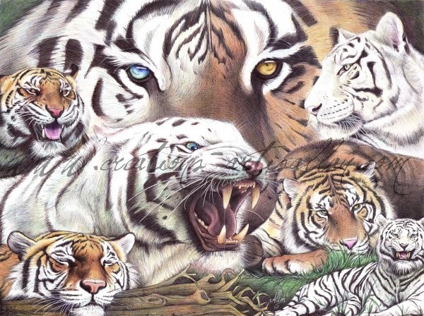 Ballpoint pen animal - Big Cat and white Tiger