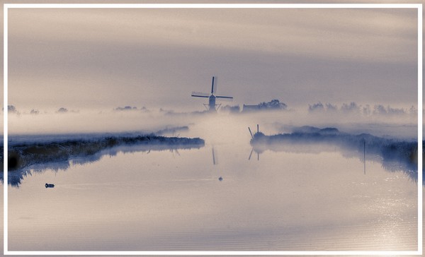 Dutch morning