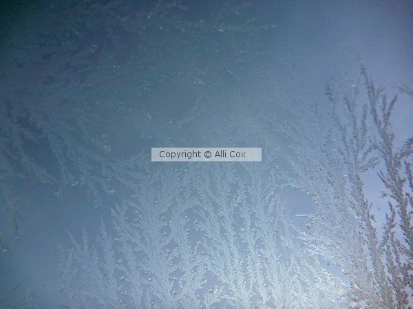 Ice