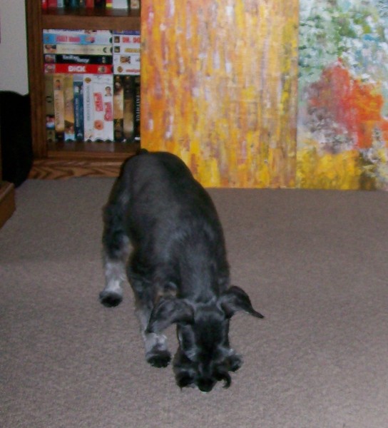 Combination abstracts