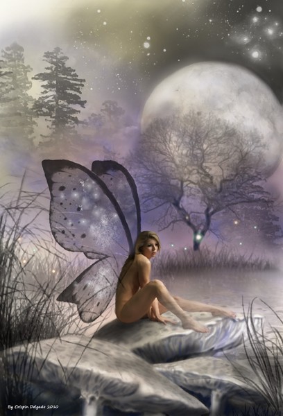 Tonight She Waits