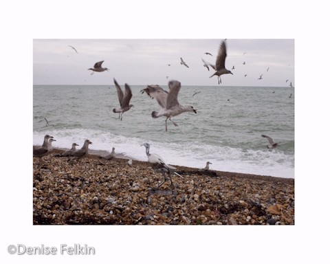 photo-art-DFelkin--6