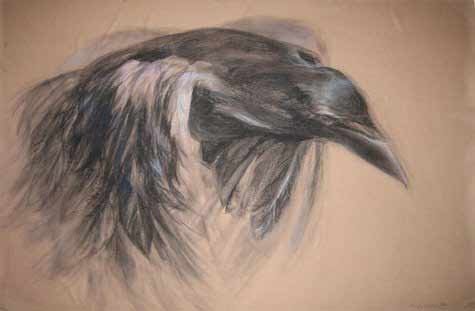As the Crow Flies