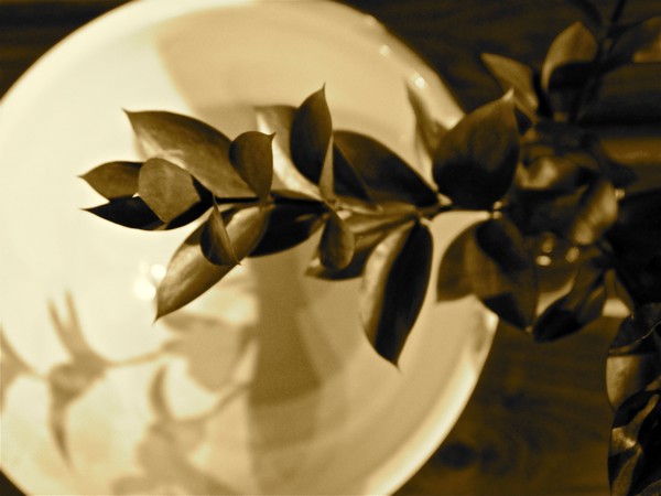 pastry bowl