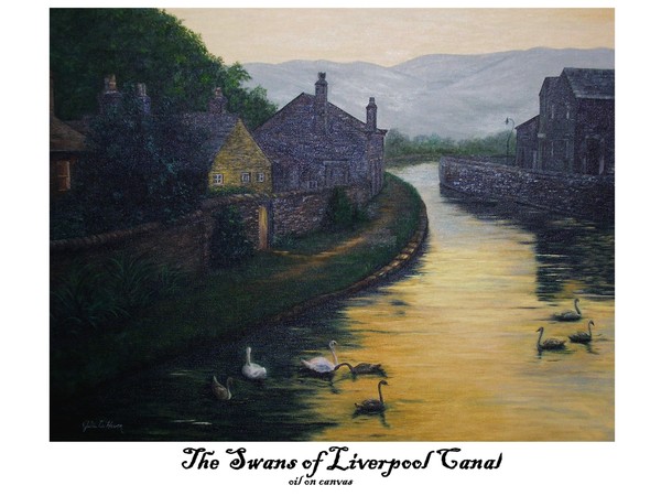 The Swans of Liverpool Canal