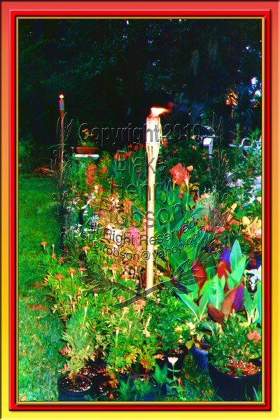 Tonight In The Tropical Torchlight Garden