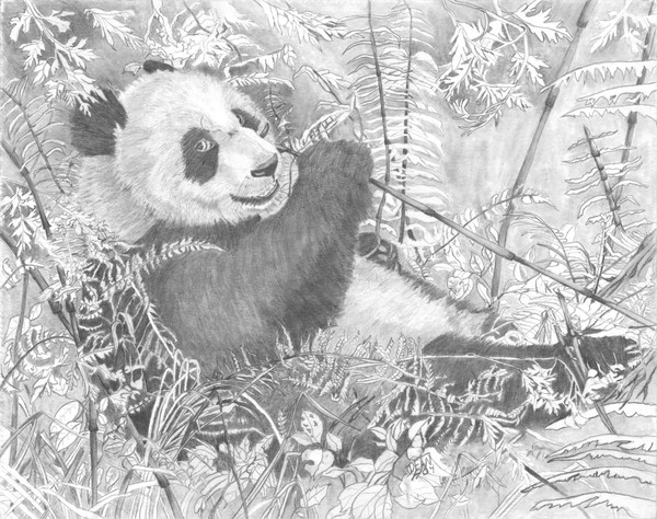Hungry panda