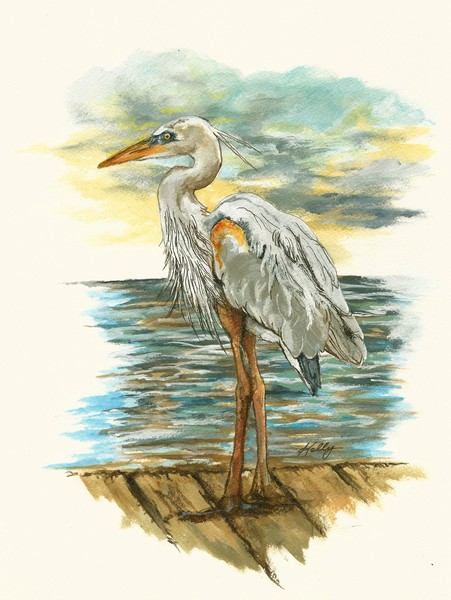 Heron