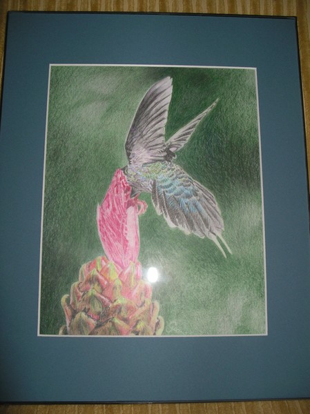 Hummingbird