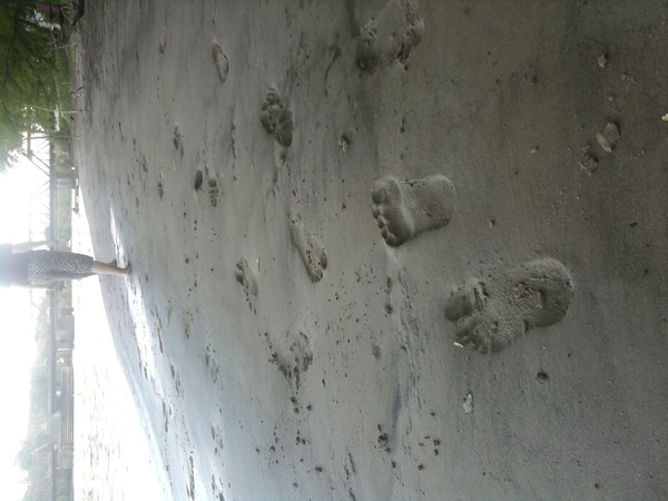 footprints 