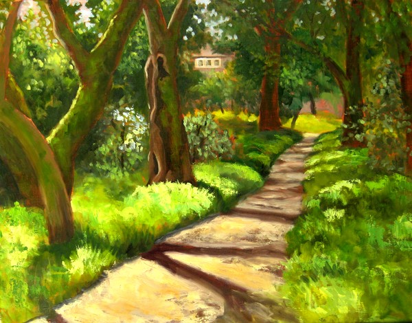 A Walk in the Woods