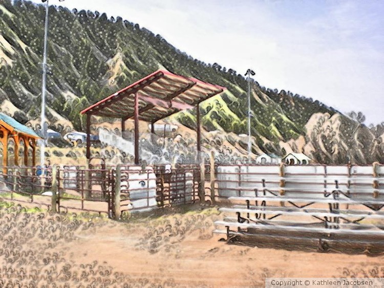 Rodeo