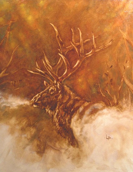 Elk