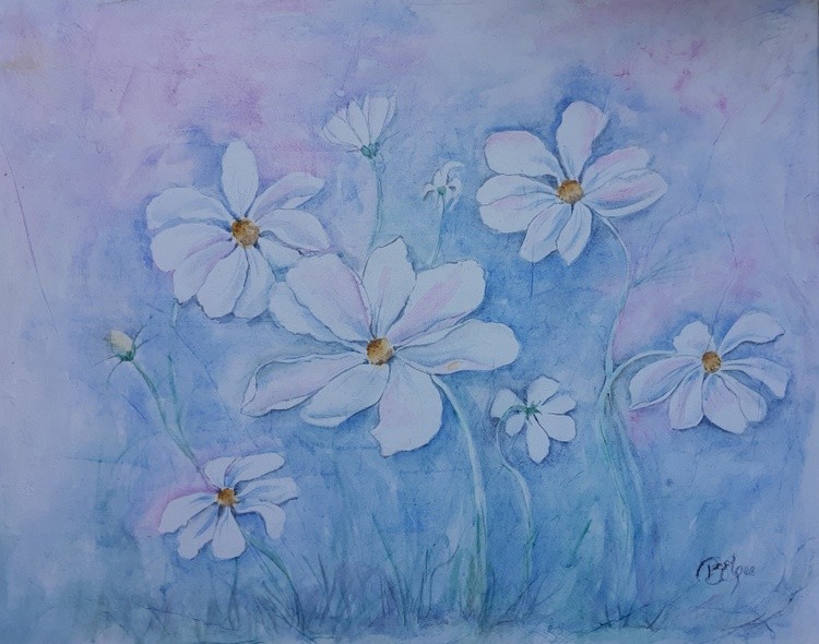 Daisy like Cosmos
