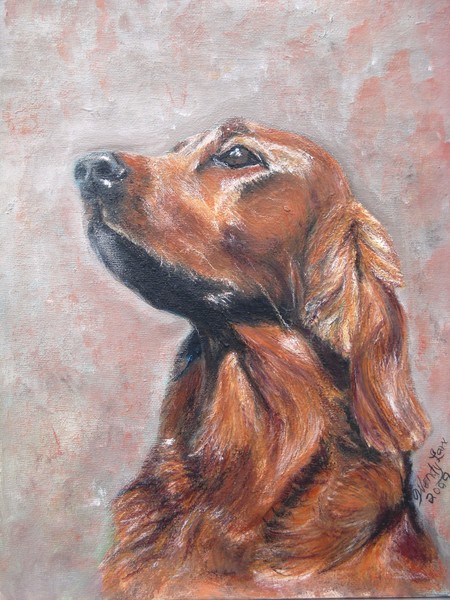 Irish Setter