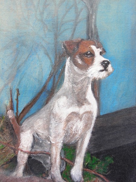 Jack Russell