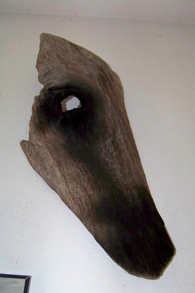 Horse's Head