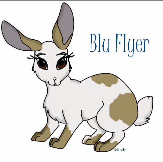 Blue Flyer