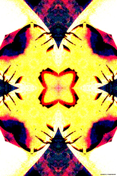 B2
