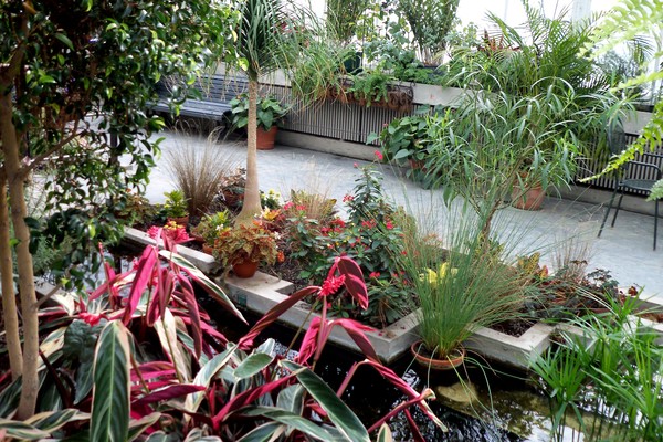 Green House Scene 2