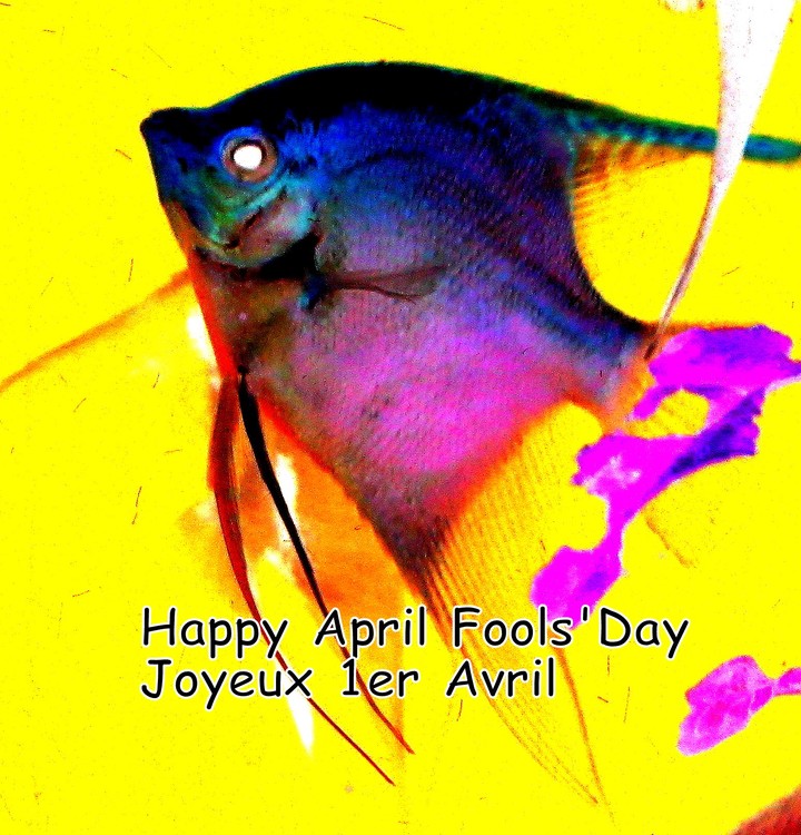HAPPY APRIL FOOL'S DAY!!!!!!!!!