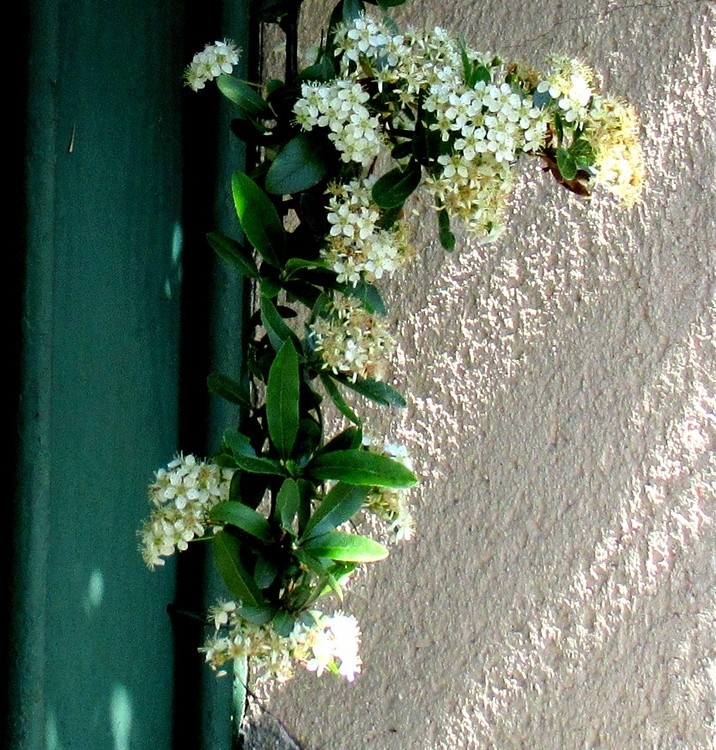 LIGHT AND SHADOW