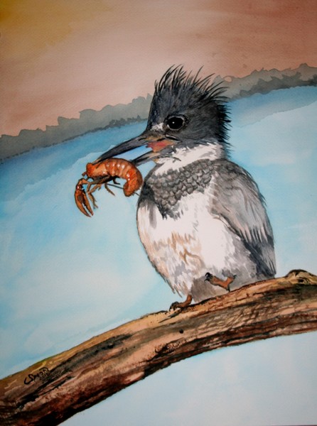 Kingfisher with Crawdad