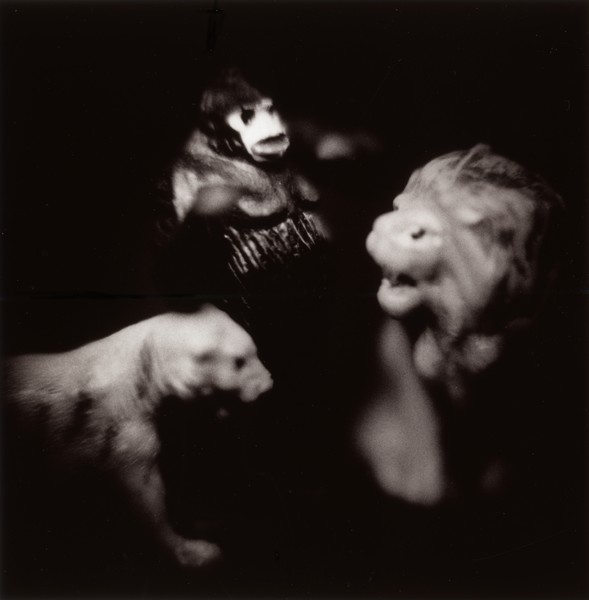 Circus animals