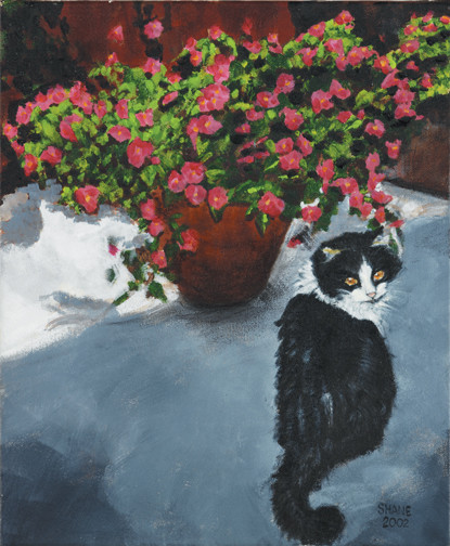 Petey and the pink impatiens