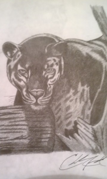 Black Panther