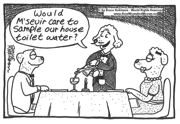 BOW WOWS & MEOWS® DOG Cartoon - 