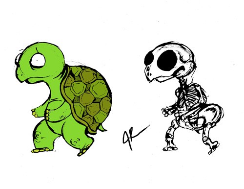 tortoise skeleton sketch side