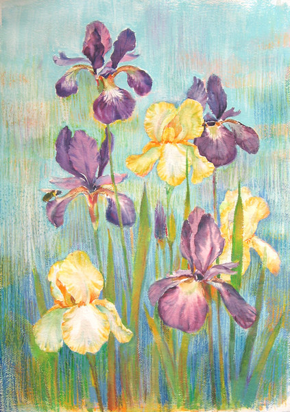 Irises
