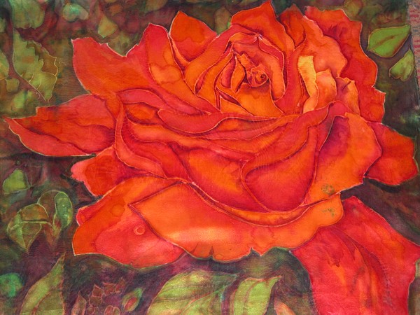 Orange Rose