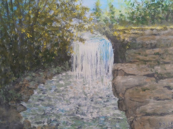 waterfall in jesmond dene