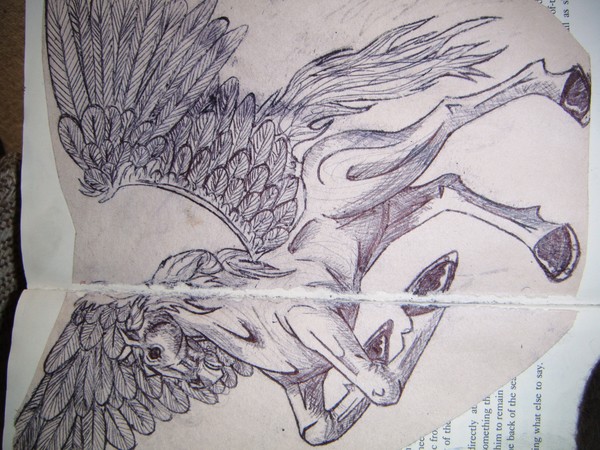 pegasus