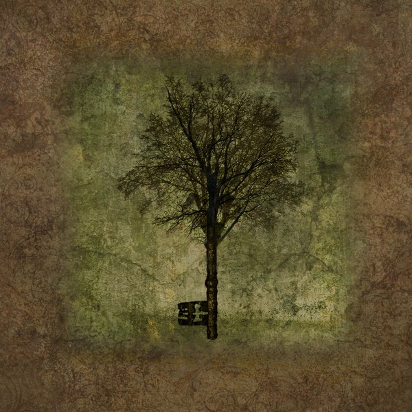 treeKEY!