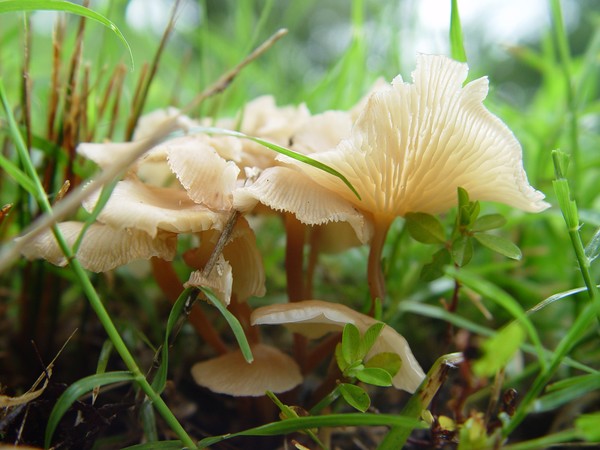 Delicate nature...