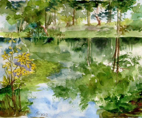 Tree Reflections
