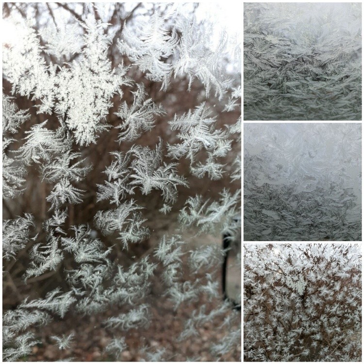 MY SONS TRUCK WINDOWS