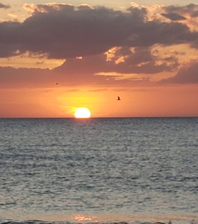 SUNSET ON THE GULF
