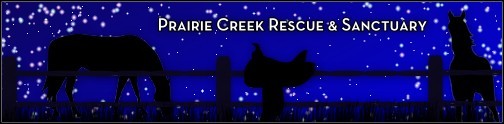 Prairie Creek Logo 4