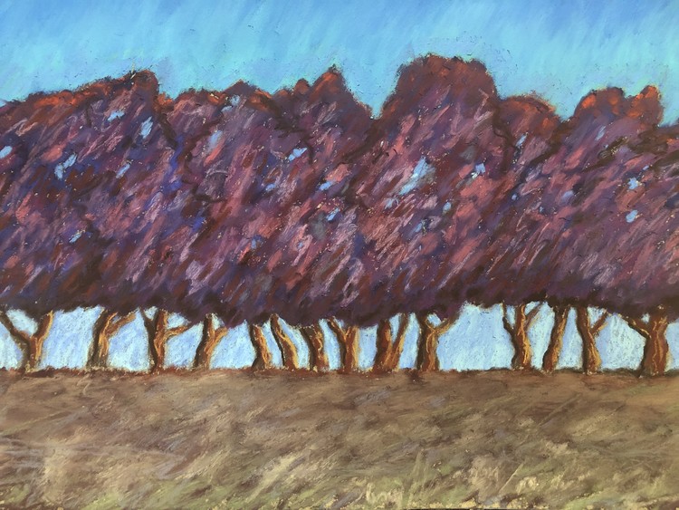 Tree Line