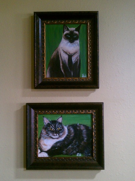 kitties