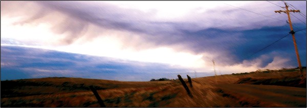 Amber Waves