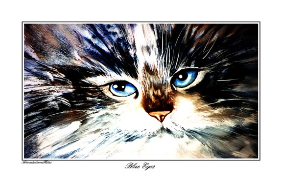 Blue Eyes