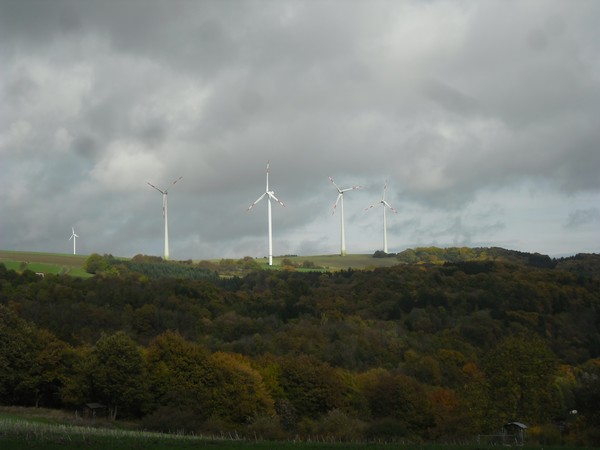 Eifel 11