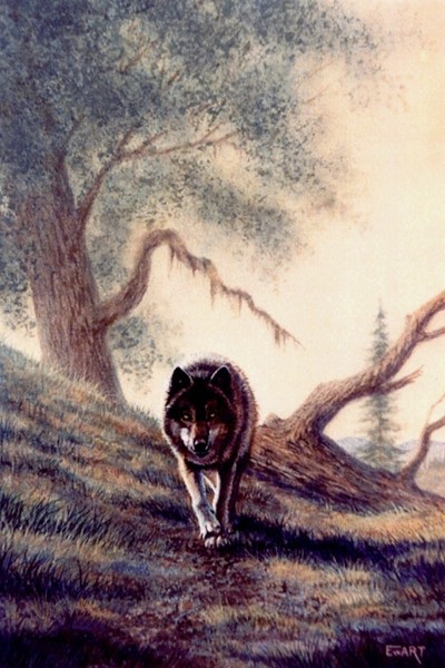 On The Prowl