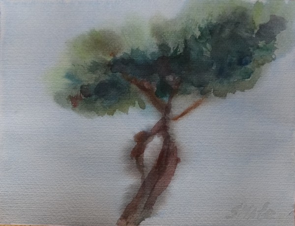 A tree before my window