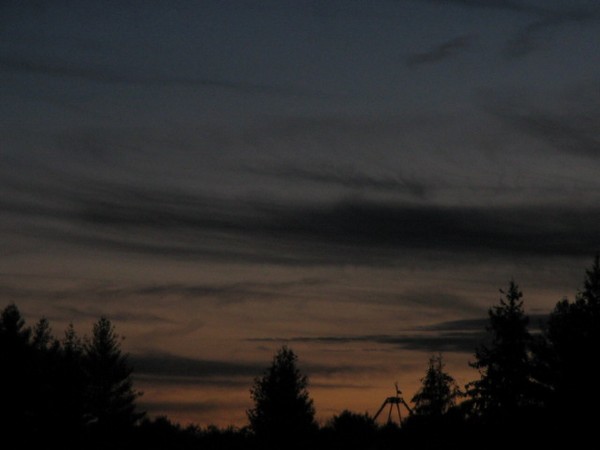 Dusky View